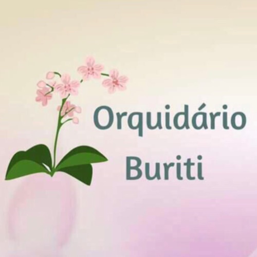 Orquidário Buriti Floricultura